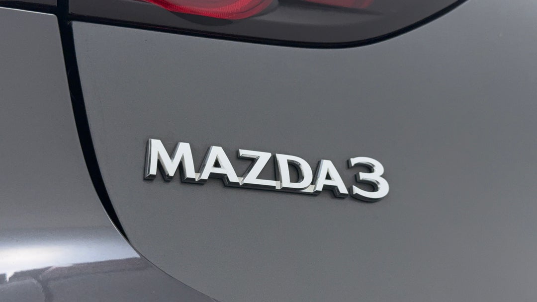 Badge (Boot Left Side)