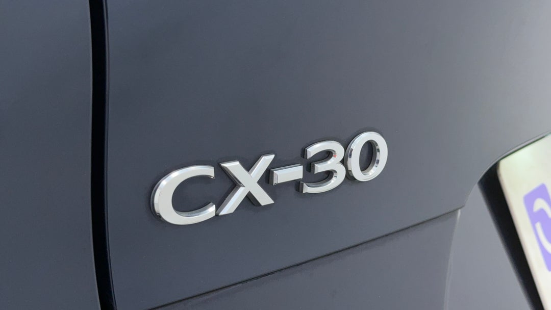 Badge (Boot Left Side)