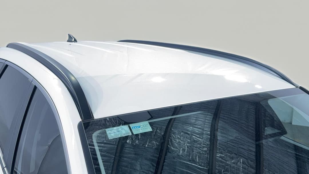 Roof/Sunroof View