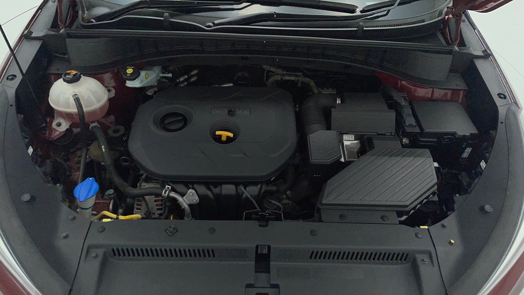 Open Bonnet (Engine)