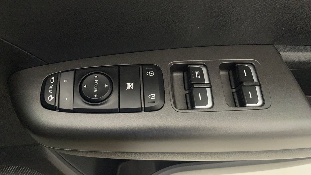Drivers Side Door Panel Controls