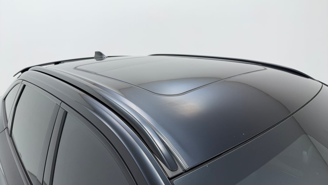 Roof/Sunroof View