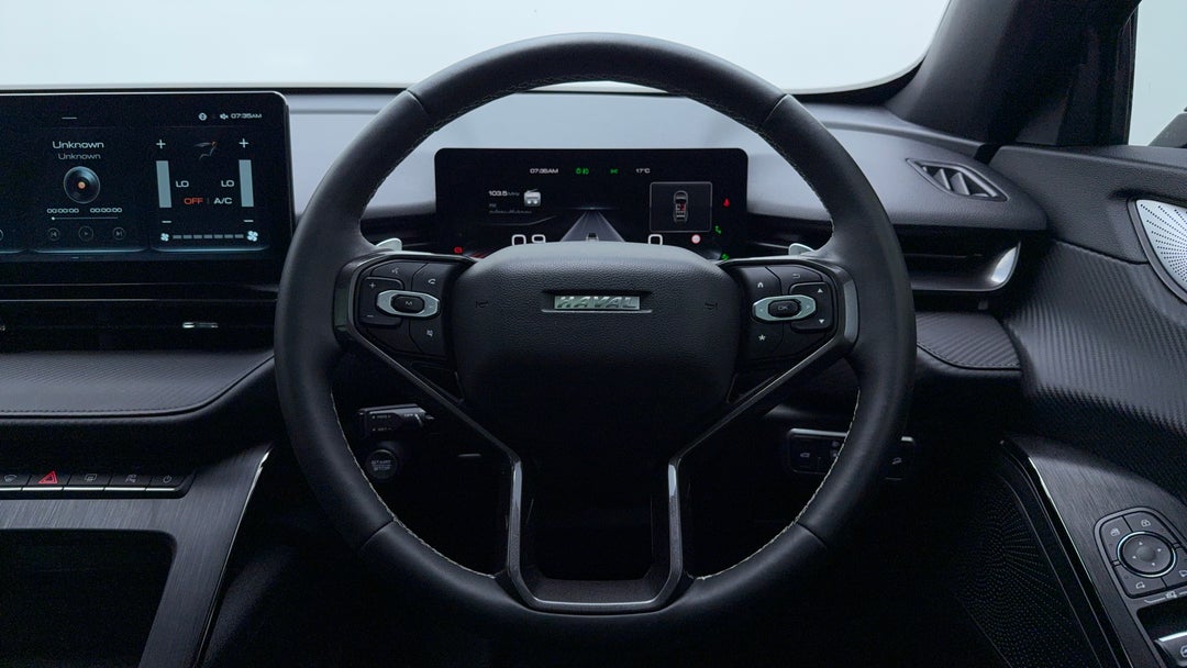 Steering Wheel Close-up