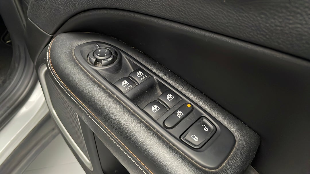 Drivers Side Door Panel Controls