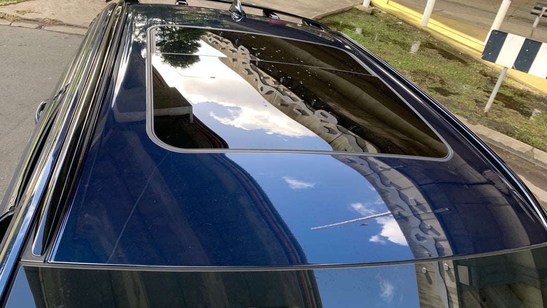 Roof/Sunroof View