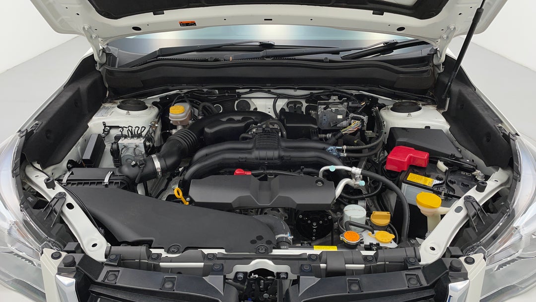 Open Bonnet (Engine)