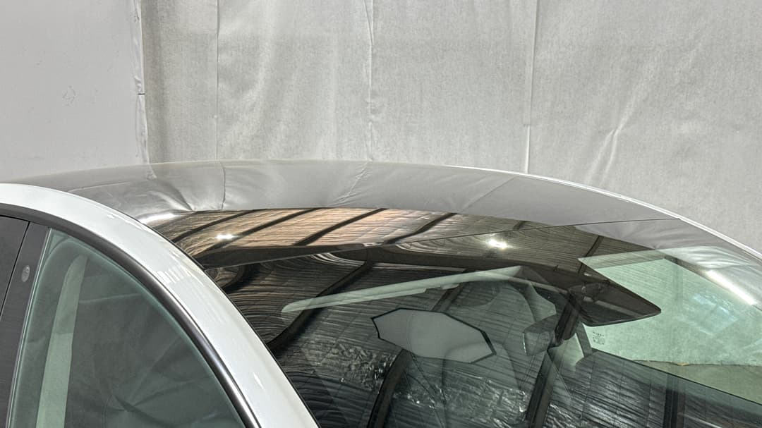 Roof/Sunroof View