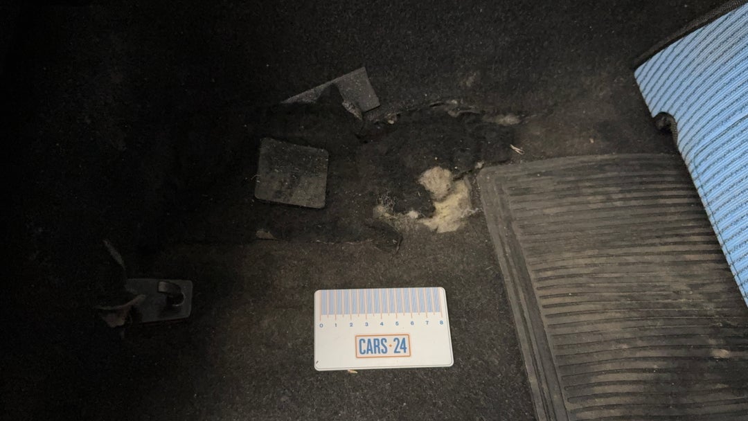 Floors / Carpets Tear