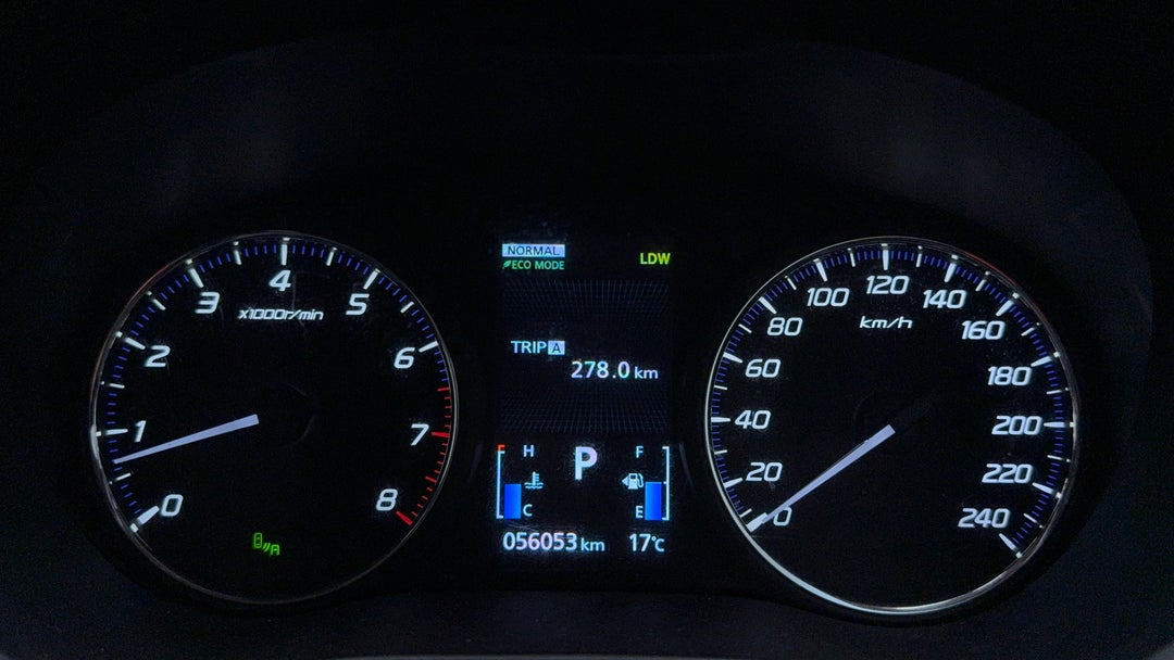 Odometer View