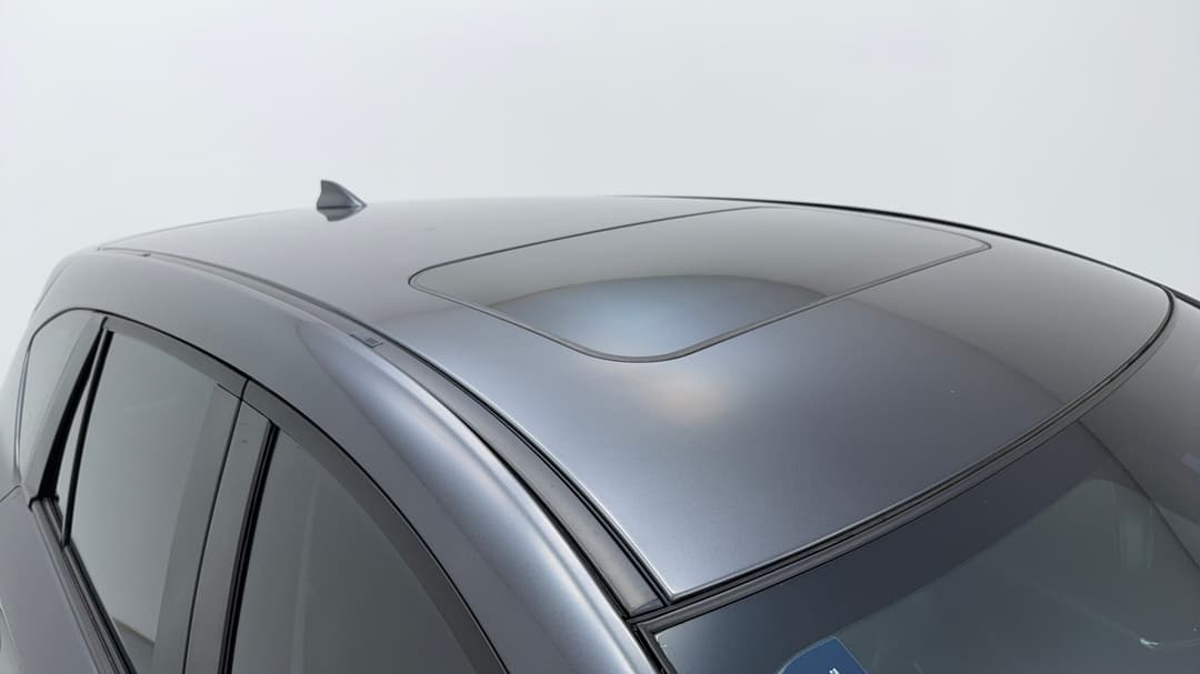 Roof/Sunroof View