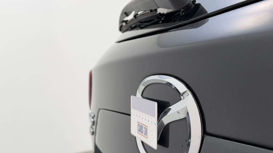 Boot / Tailgate Tailgate Dent