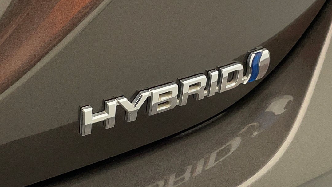 Badge (Boot Right Side)