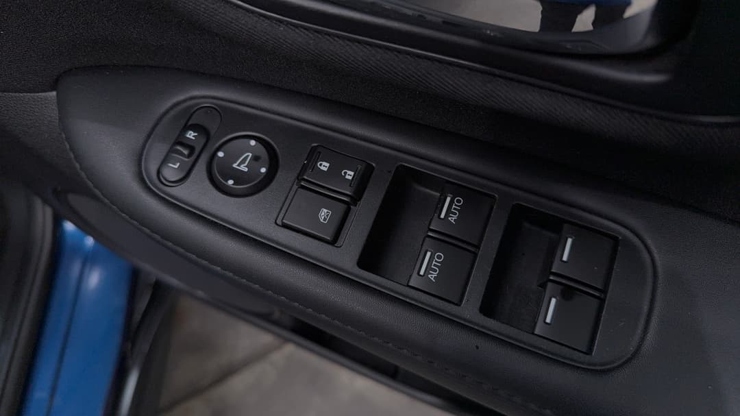 Drivers Side Door Panel Controls