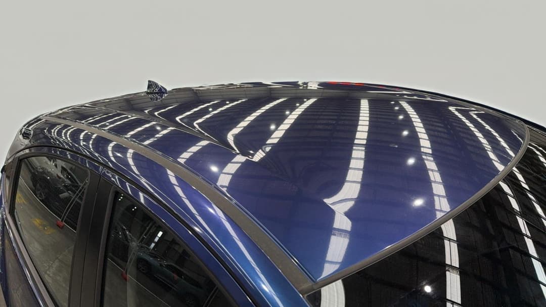 Roof/Sunroof View