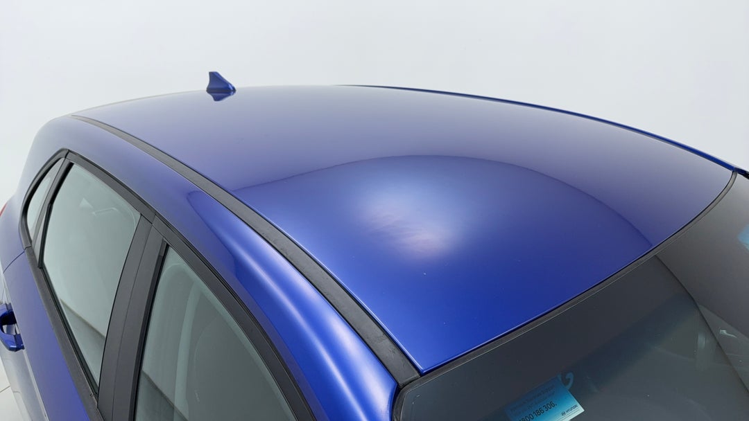 Roof/Sunroof View