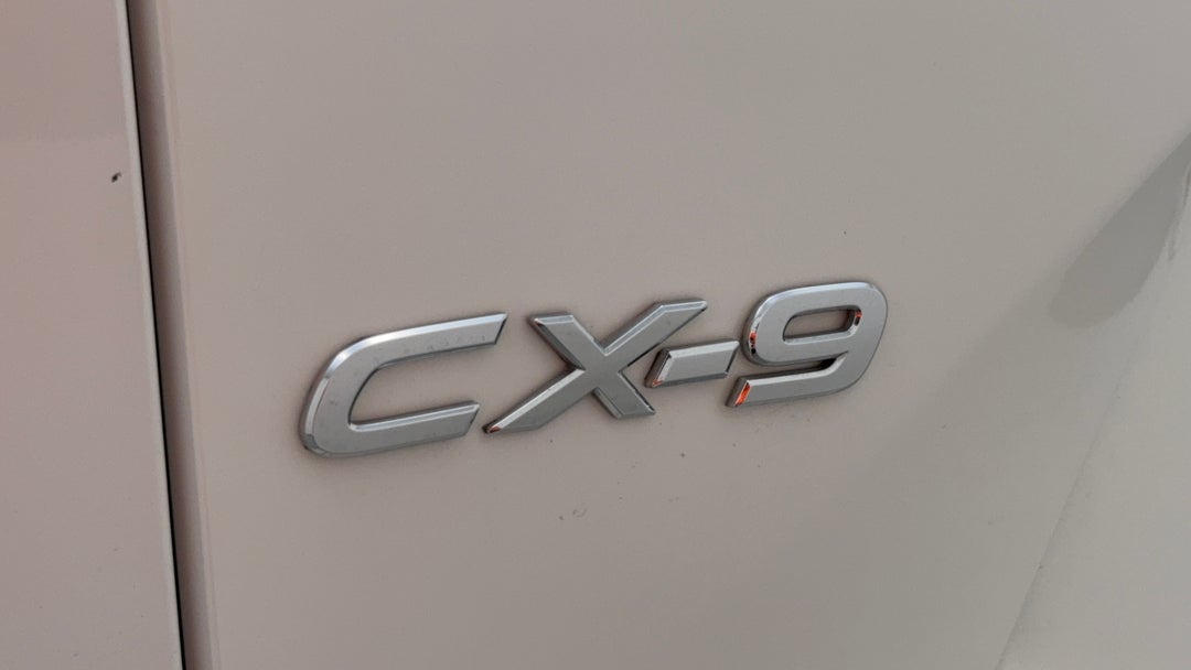 Badge (Boot Left Side)