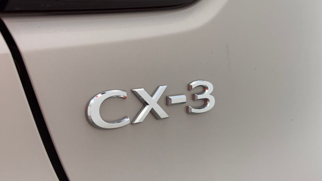 Badge (Boot Left Side)