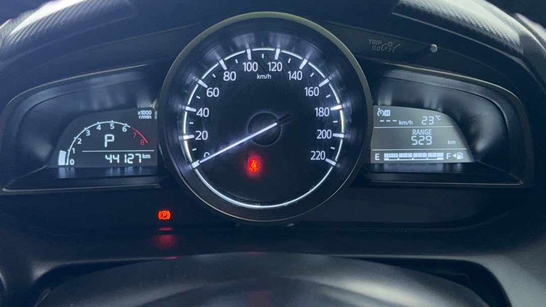 Odometer View