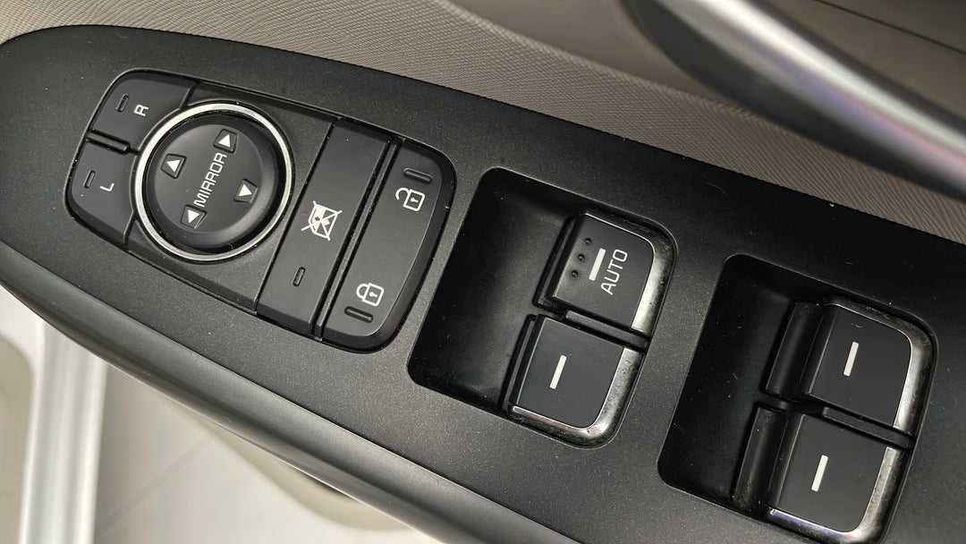 Drivers Side Door Panel Controls