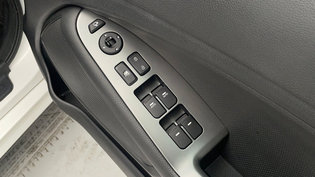 Drivers Side Door Panel Controls