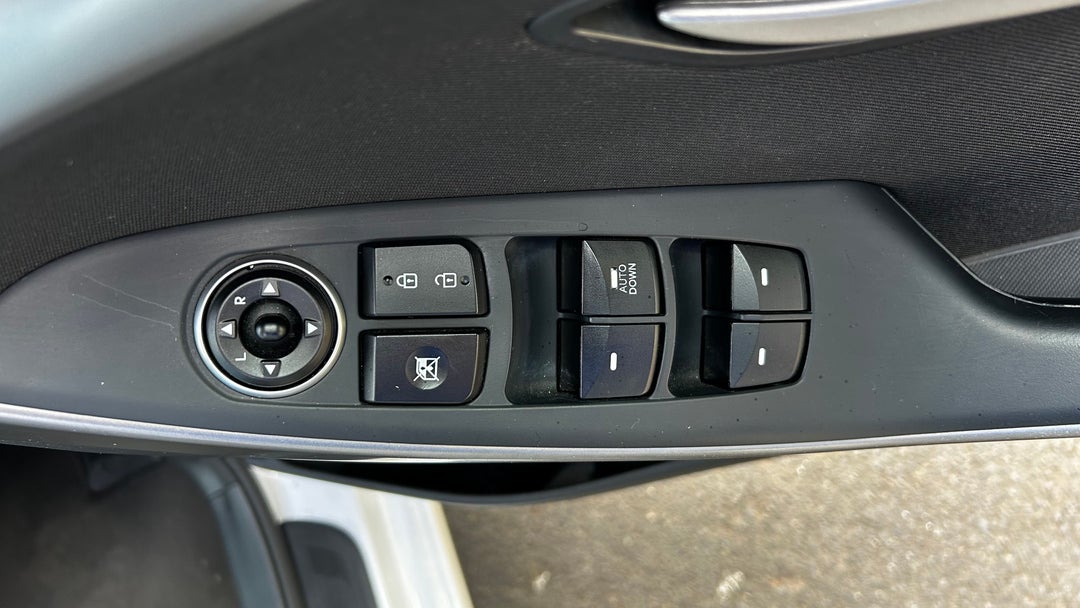 Drivers Side Door Panel Controls