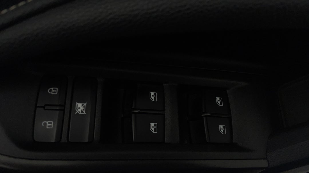 Drivers Side Door Panel Controls