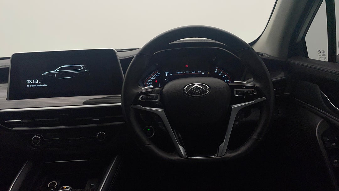 Steering Wheel Close-up