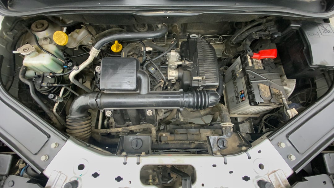 Open Bonet