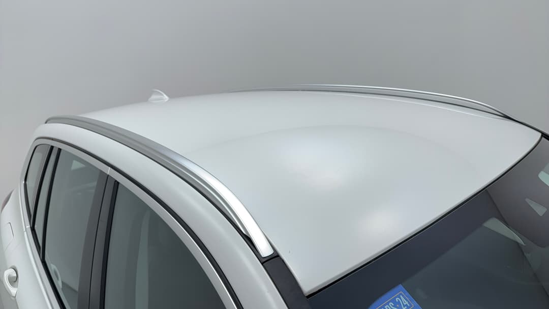 Roof/Sunroof View