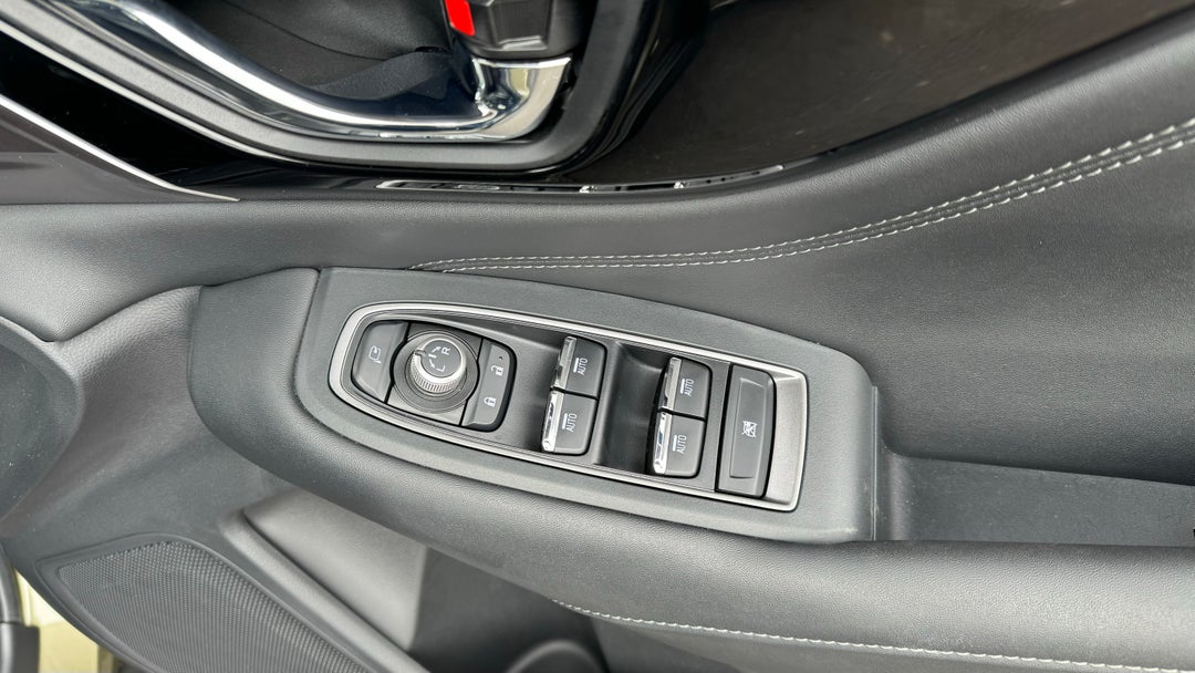 Drivers Side Door Panel Controls