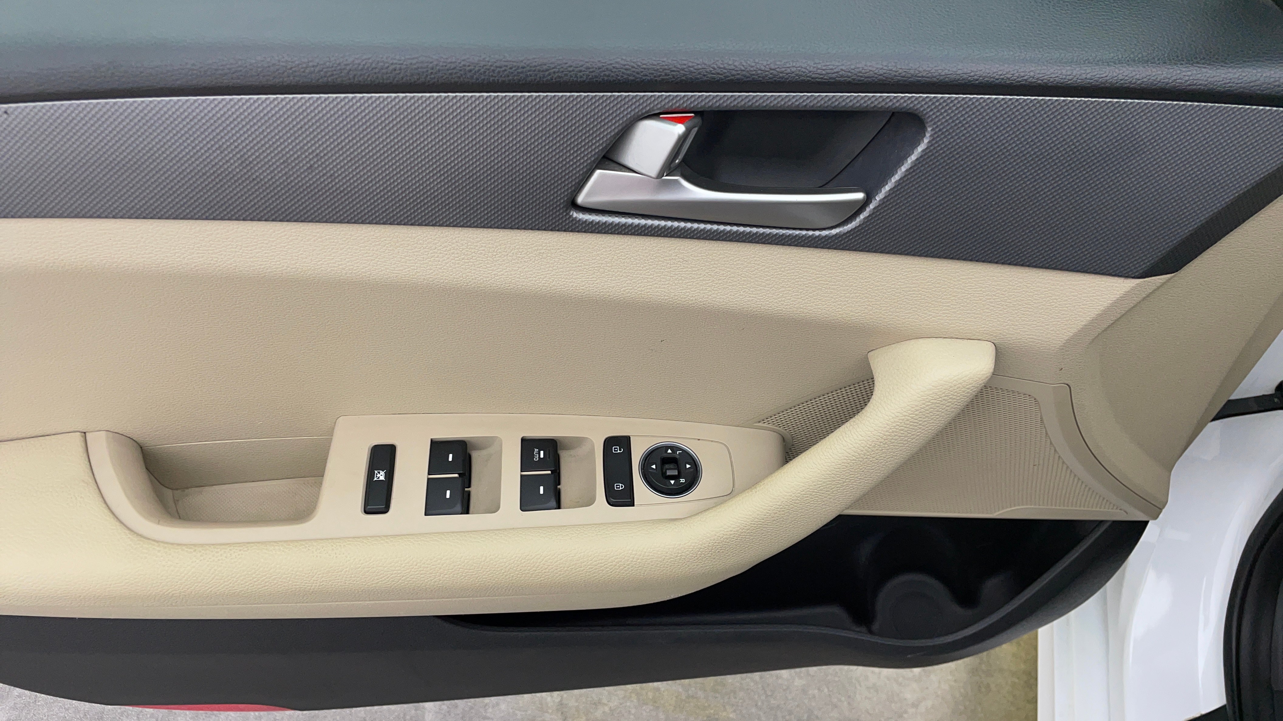 Hyundai Sonata-Driver Side Door Panels Controls