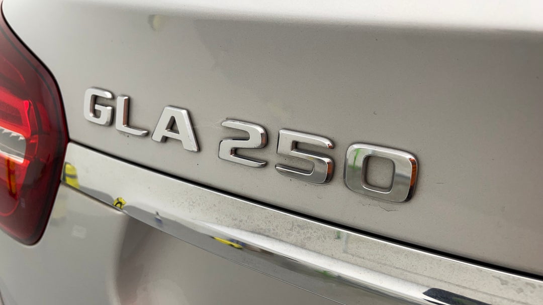 Badge (Boot Left Side)