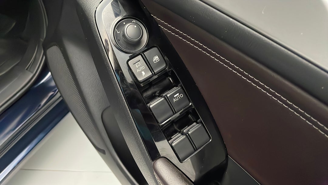 Drivers Side Door Panel Controls