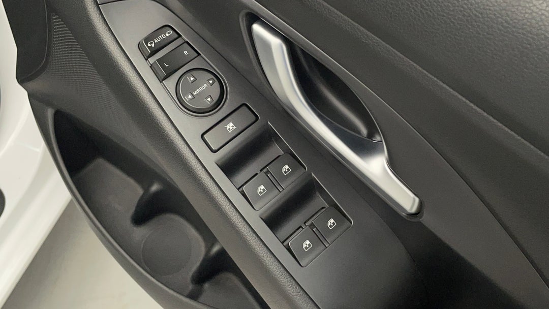 Drivers Side Door Panel Controls