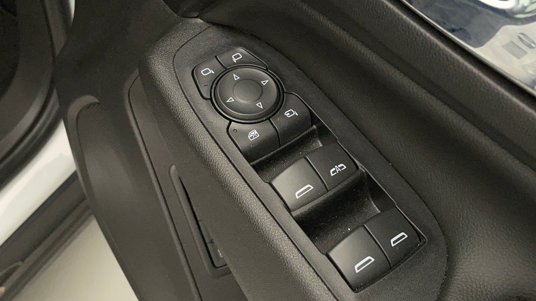 Drivers Side Door Panel Controls