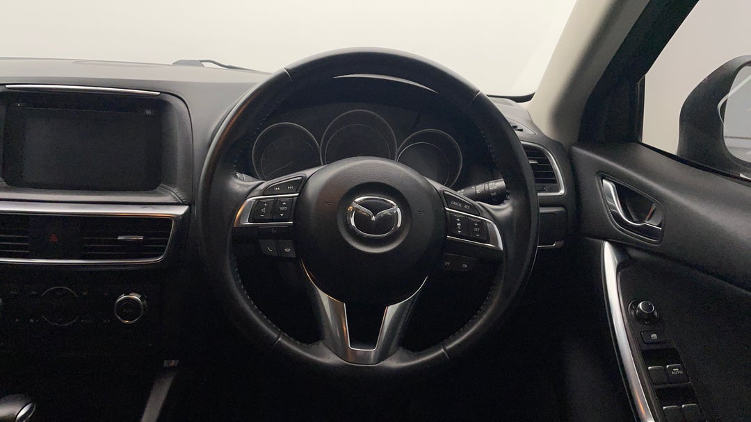 Steering Wheel Close-up