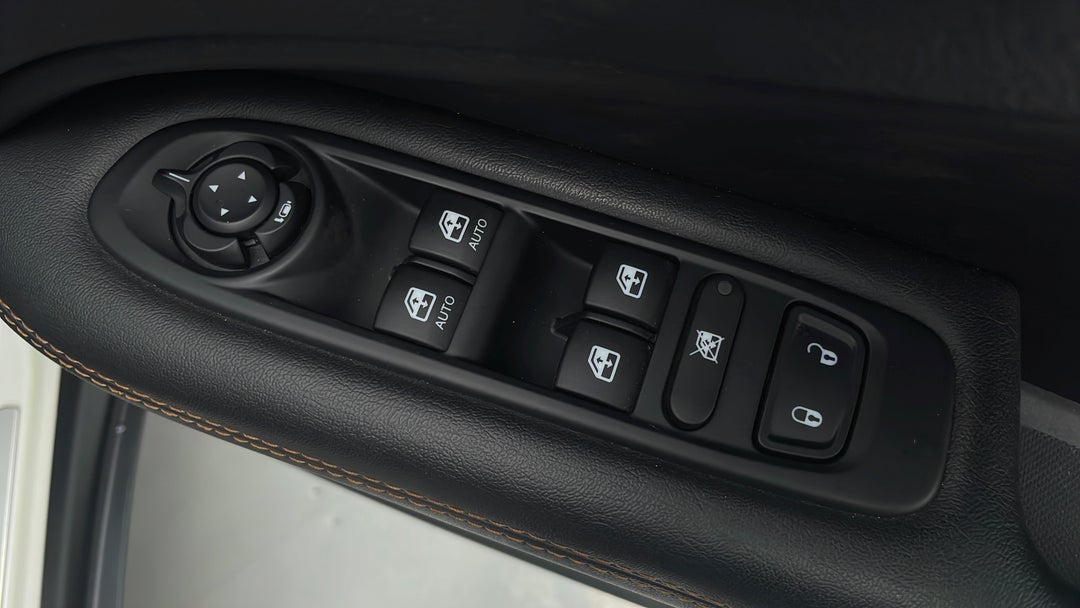 Drivers Side Door Panel Controls