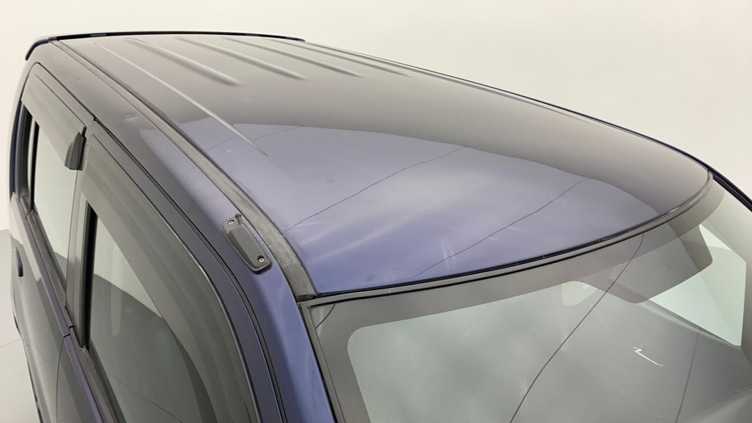 Roof/Sunroof View