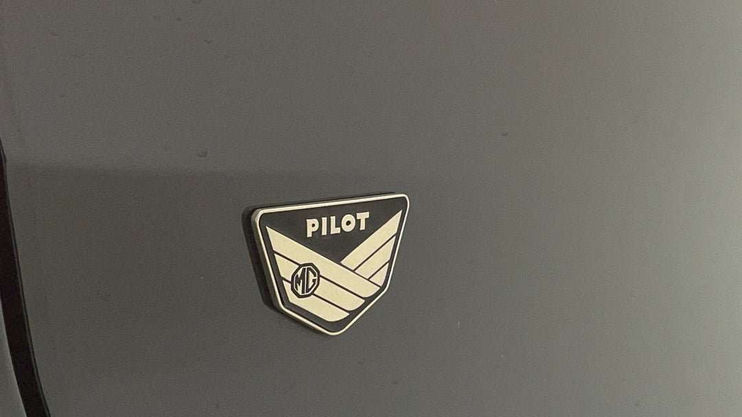 Badge (Boot Left Side)