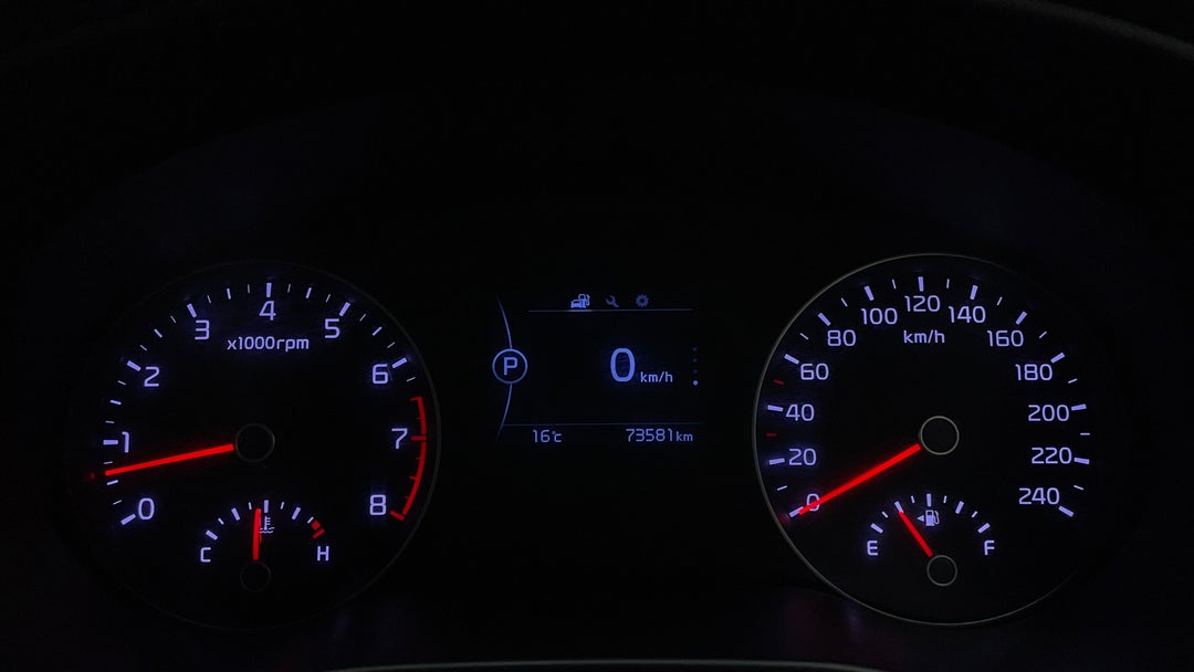 Odometer View
