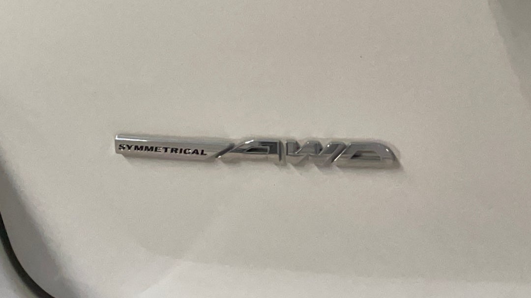 Badge (Boot Left Side)