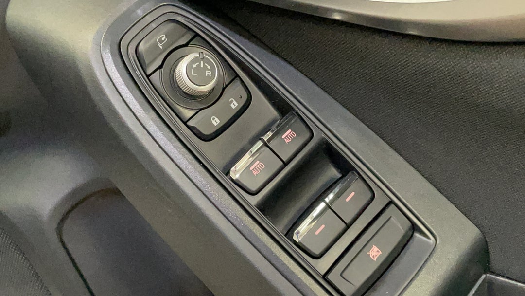 Drivers Side Door Panel Controls