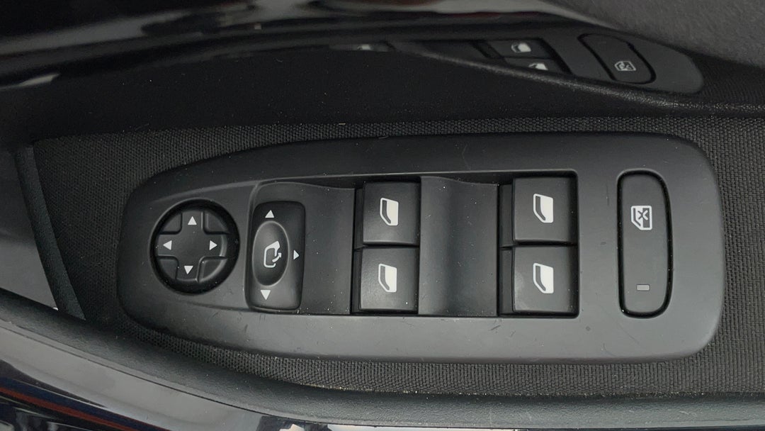 Drivers Side Door Panel Controls