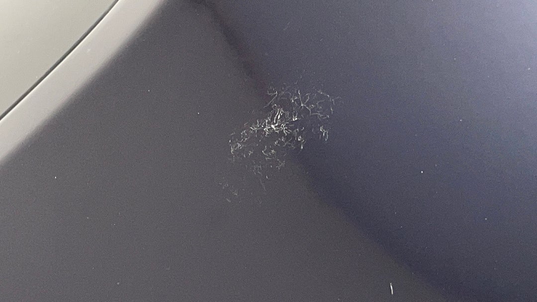 Quarter Panel Rear RHS Bird acid