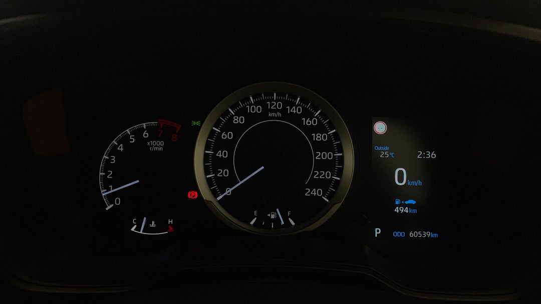 Odometer View