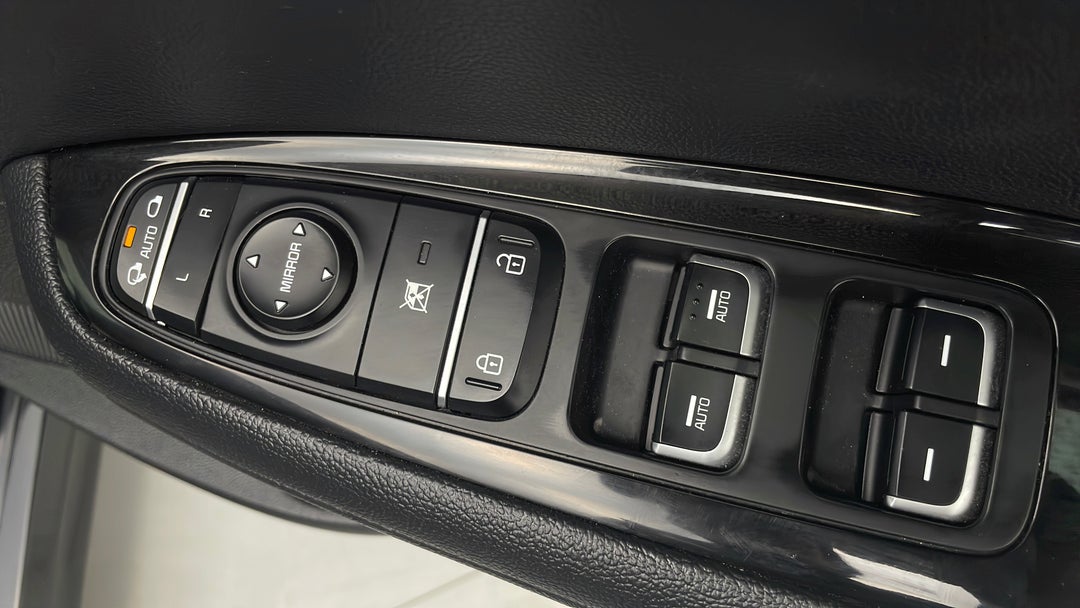 Drivers Side Door Panel Controls