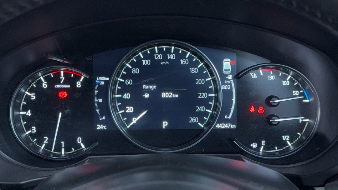 Odometer View