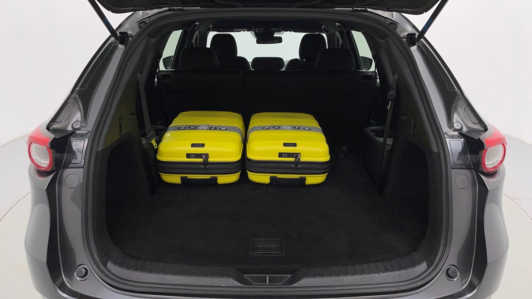 Boot Inside View with Luggage
