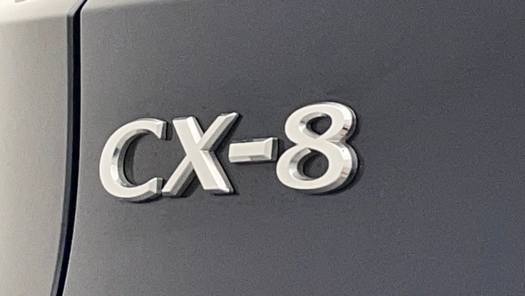 Badge (Boot Left Side)