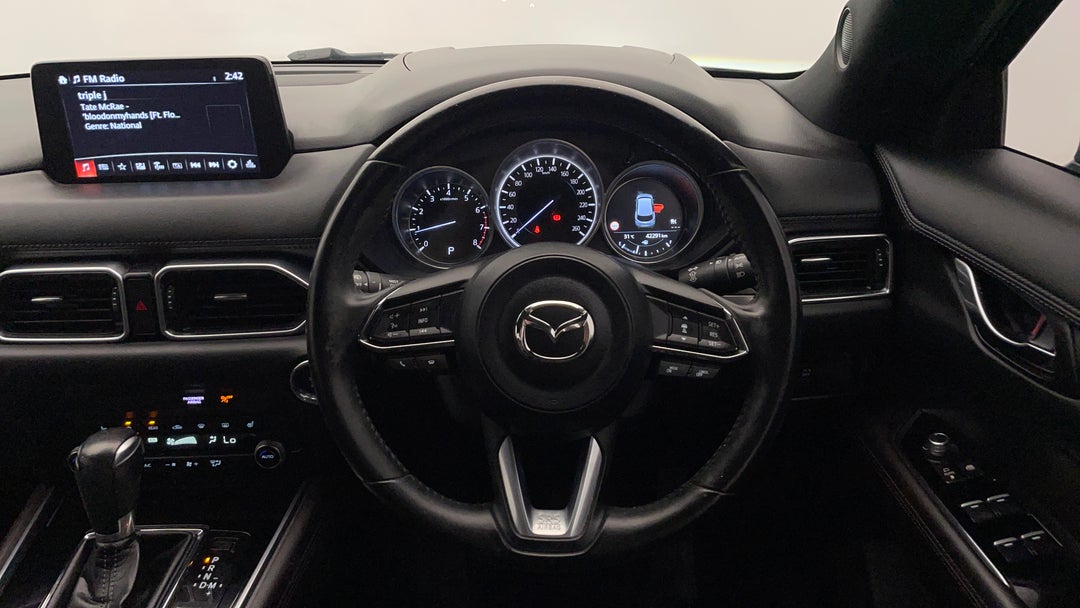 Steering Wheel Close-up